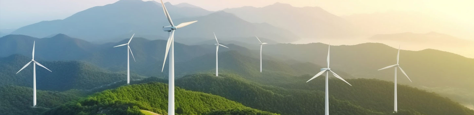 引领风光循环产业新篇章，共筑可持续发展的梦想